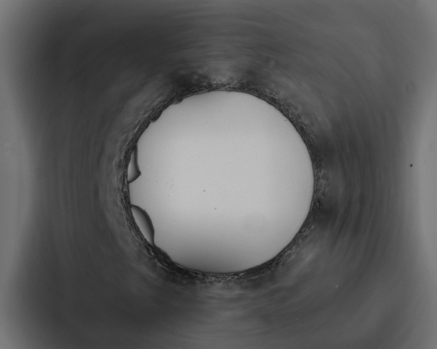 X0000087041249200705160921