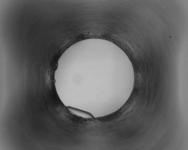 X0000087041250200705160921