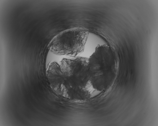 X0000087041251200705160921