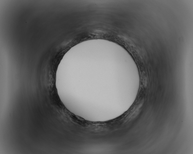 X0000087041253200705160921