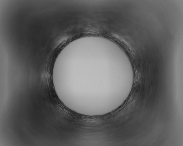 X0000087041254200705160921