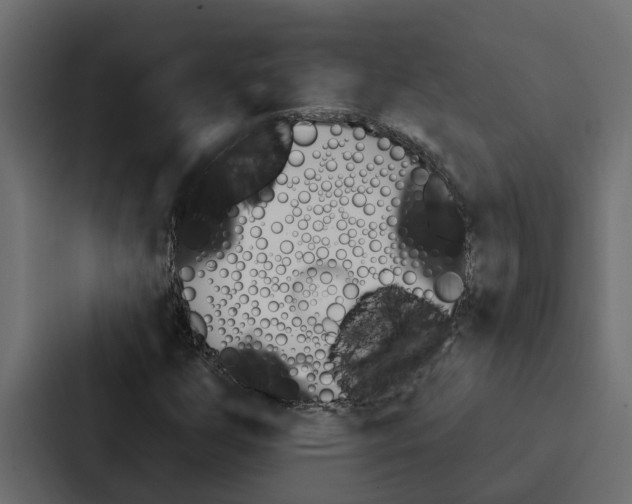 X0000087041255200705160921