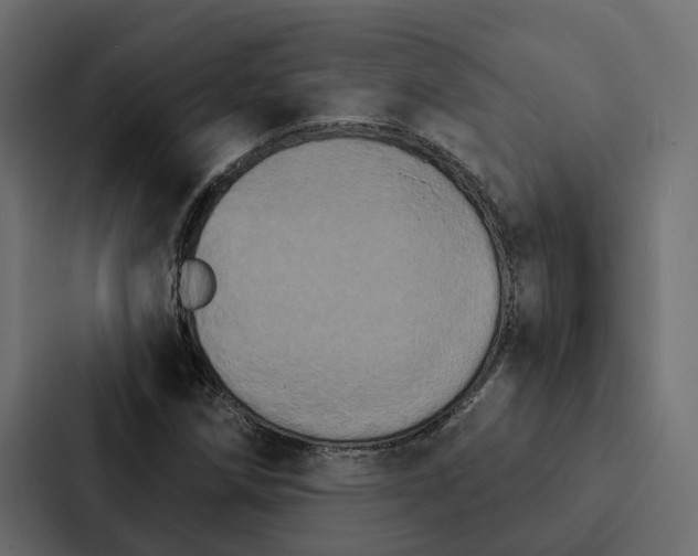 X0000087041258200705160921