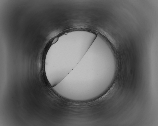X0000087041261200705160921