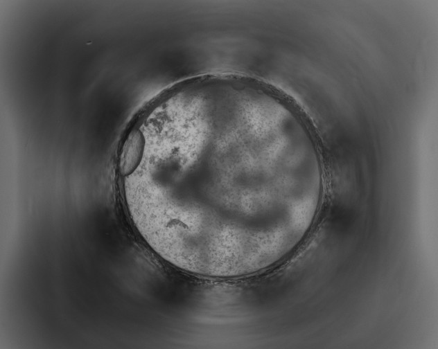 X0000087041263200705160921