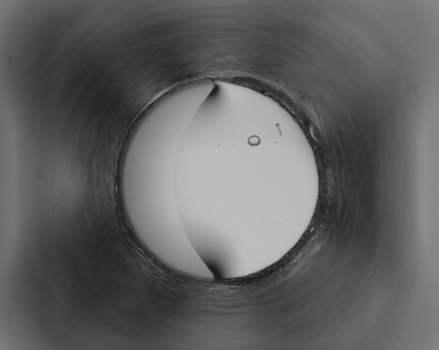 X0000087041265200705160921