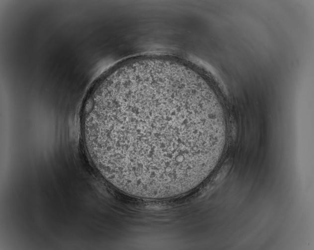 X0000087041267200705160921