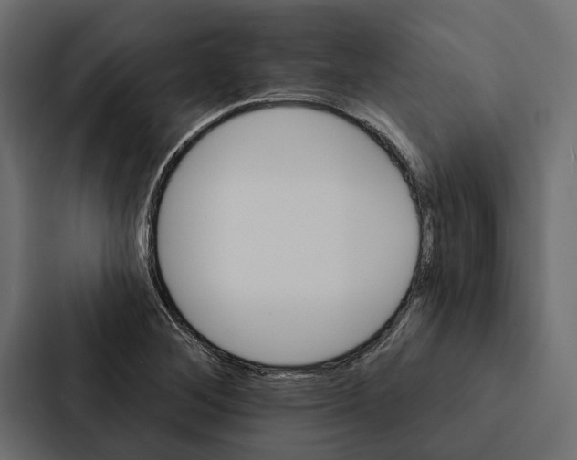 X0000087041268200705160920