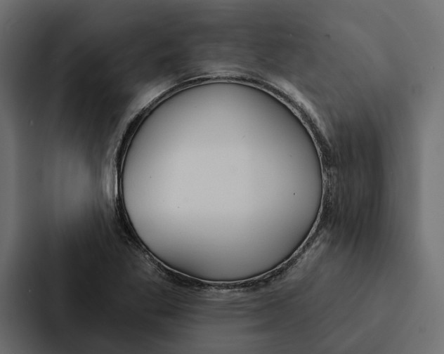 X0000087041269200705160920
