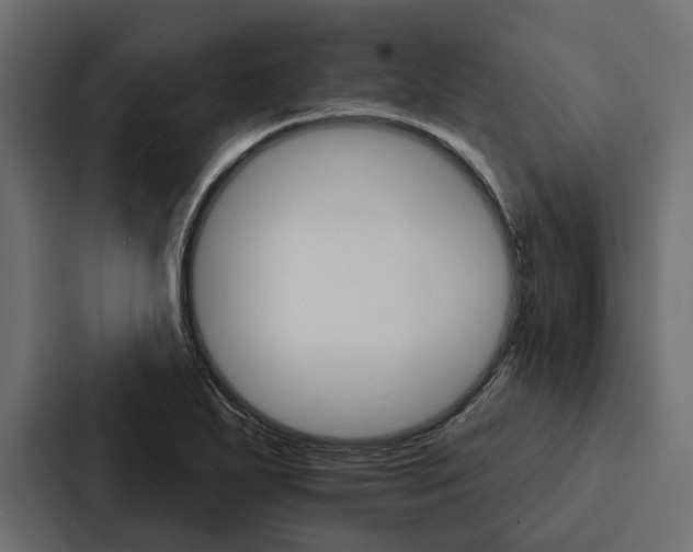 X0000087041271200705160920