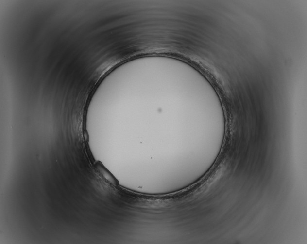 X0000087041273200705160920