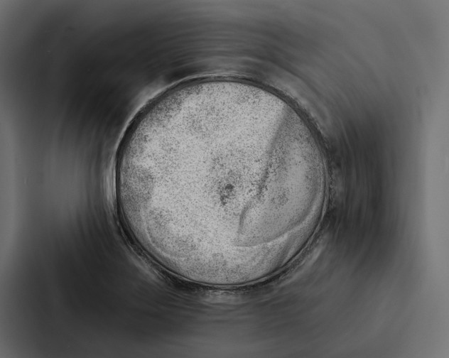 X0000087041275200705160920