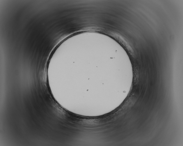 X0000087041276200705160920