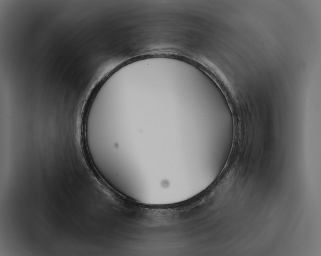 X0000087041277200705160920