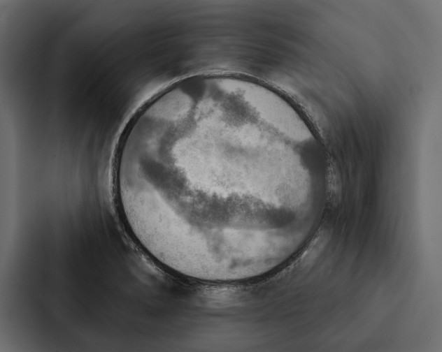 X0000087041278200705160920