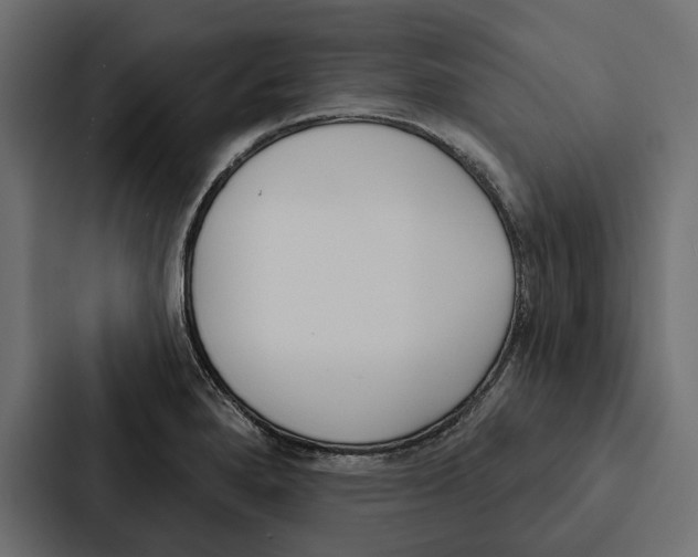 X0000087041280200705160920