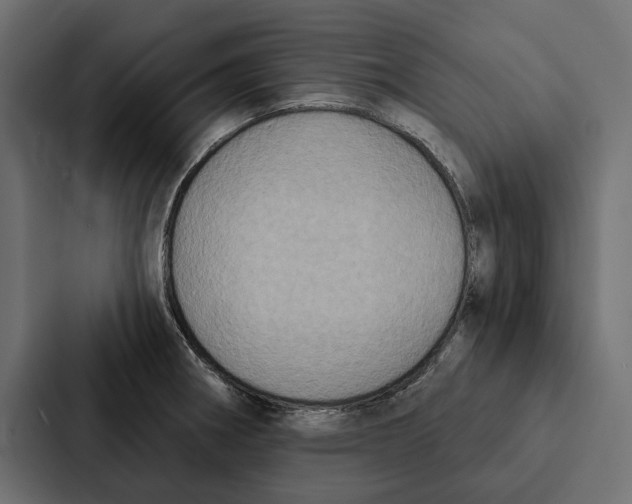 X0000087041282200705160920