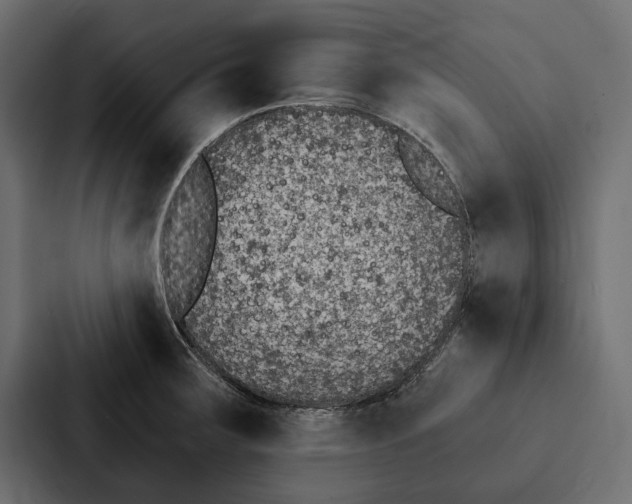 X0000087041283200705160920