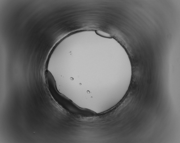X0000087041284200705160920