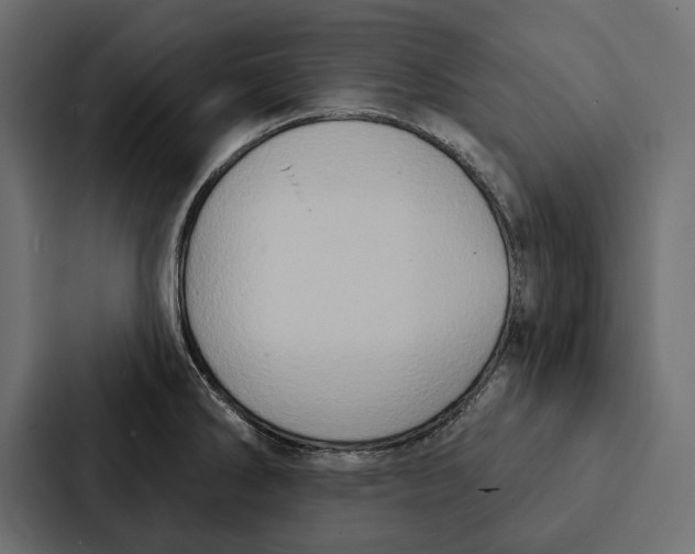 X0000087041286200705160920