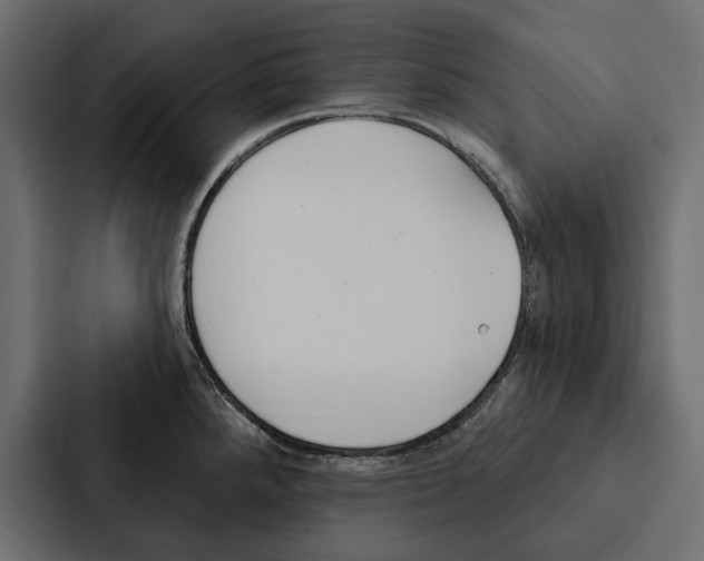 X0000087041288200705160920