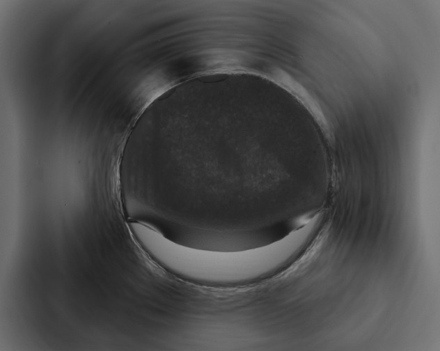 X0000087041289200705160920