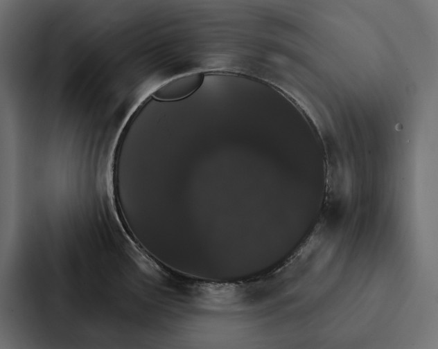 X0000087041291200705160920
