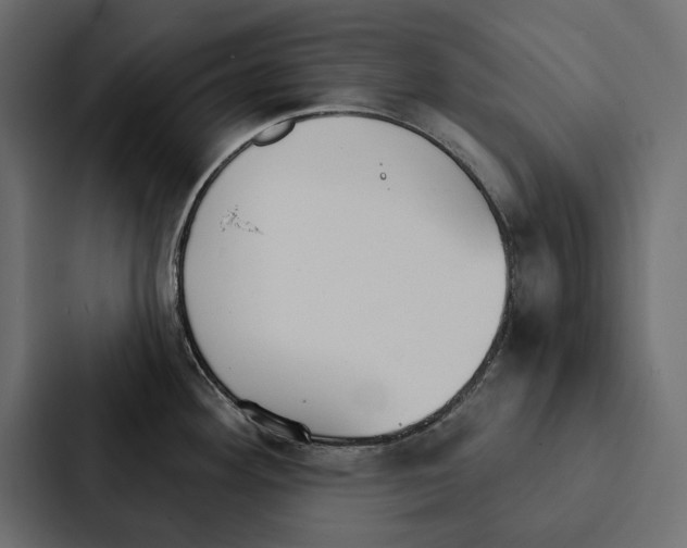 X0000087041292200705160920