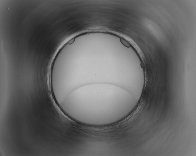 X0000087041295200705160920