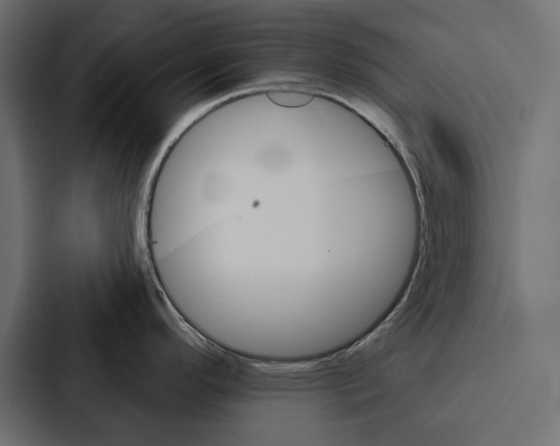 X0000087041296200705160920