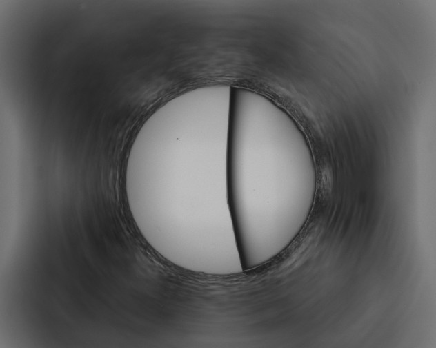 X0000087041300200705160920
