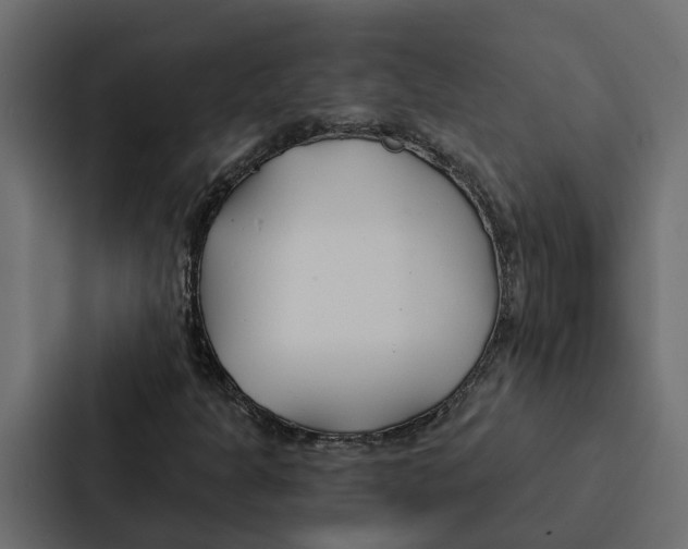 X0000087041301200705160920