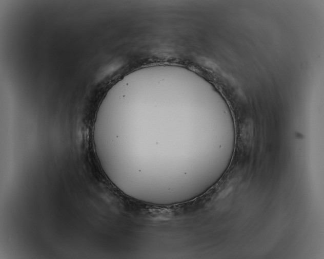 X0000087041302200705160920