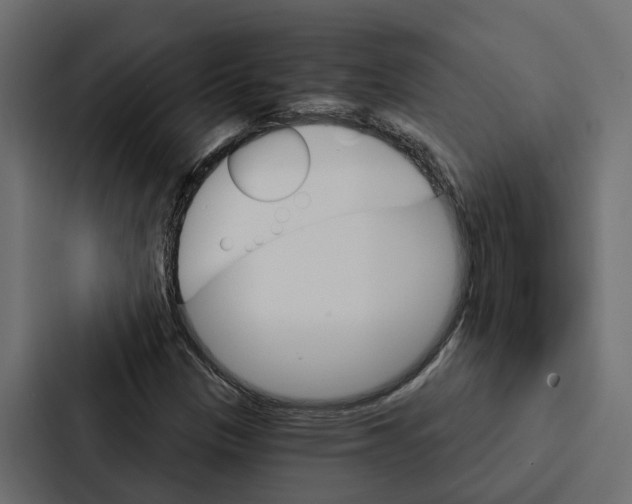 X0000087041305200705160920