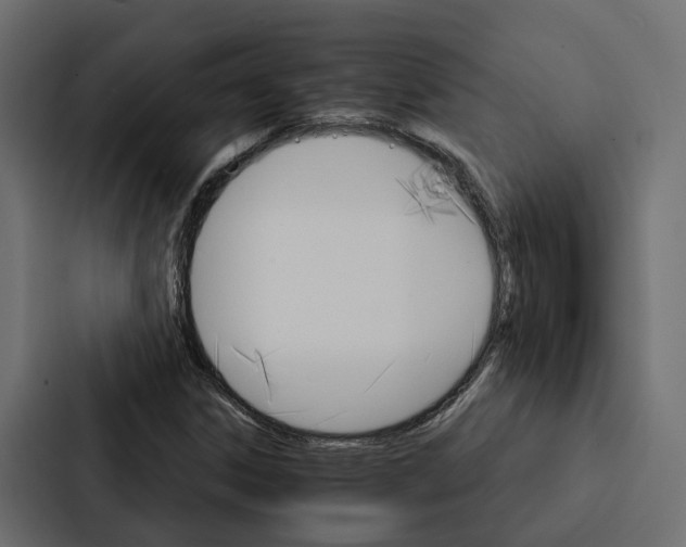 X0000087041306200705160920