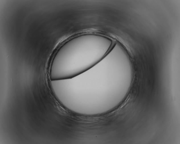 X0000087041308200705160920