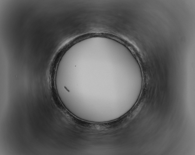 X0000087041311200705160920