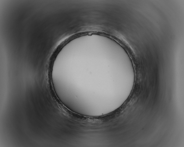 X0000087041312200705160920