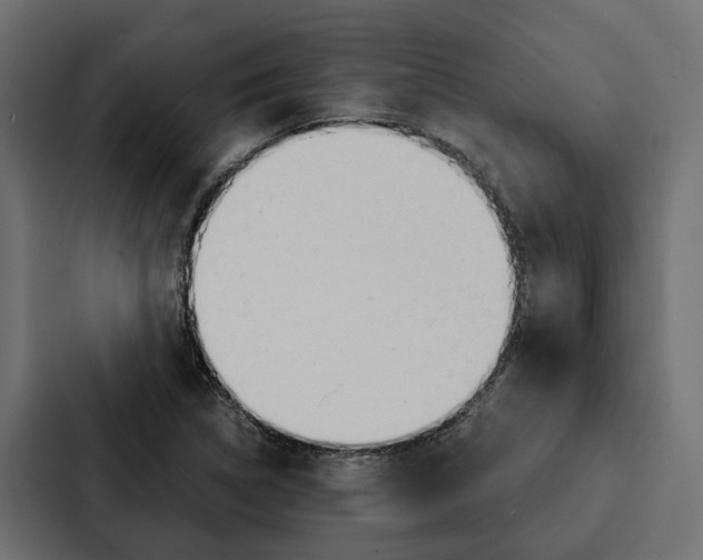 X0000087041314200705160920