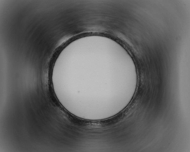 X0000087041315200705160920