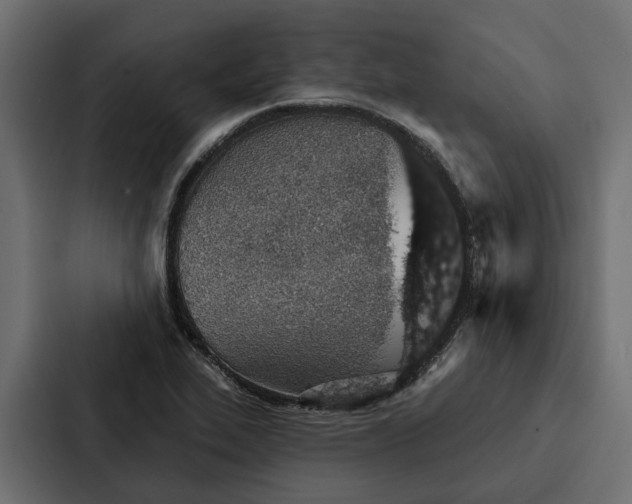 X0000087041319200705160920
