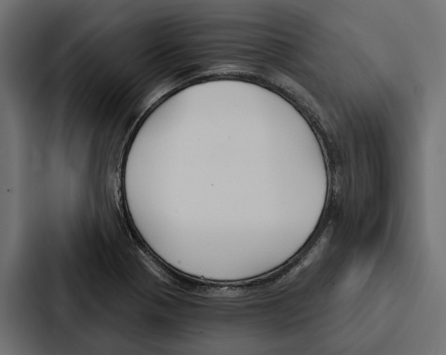 X0000087041321200705160920