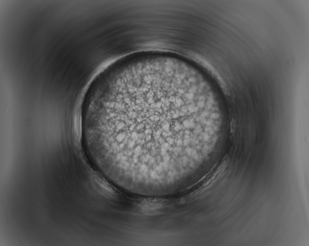 X0000087041323200705160920