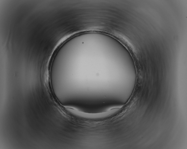 X0000087041324200705160920