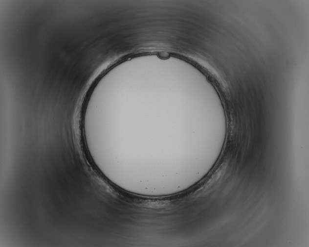 X0000087041325200705160920