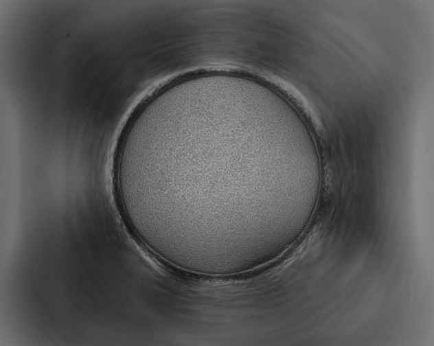 X0000087041327200705160920