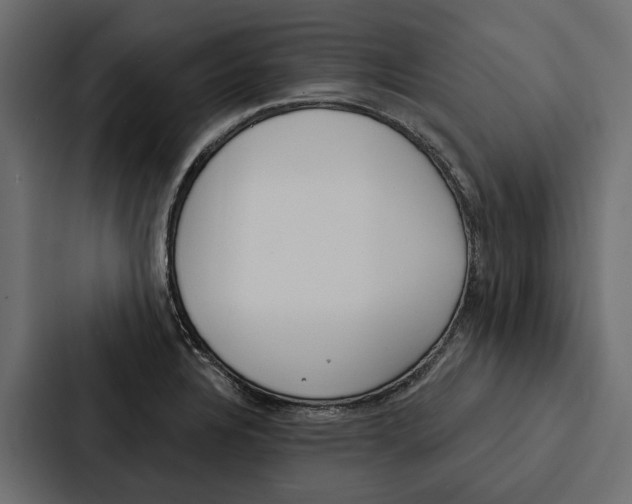 X0000087041328200705160920