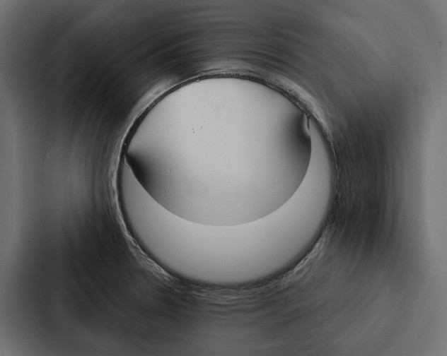 X0000087041330200705160920