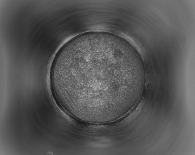 X0000087041331200705160920