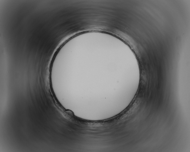 X0000087041332200705160920